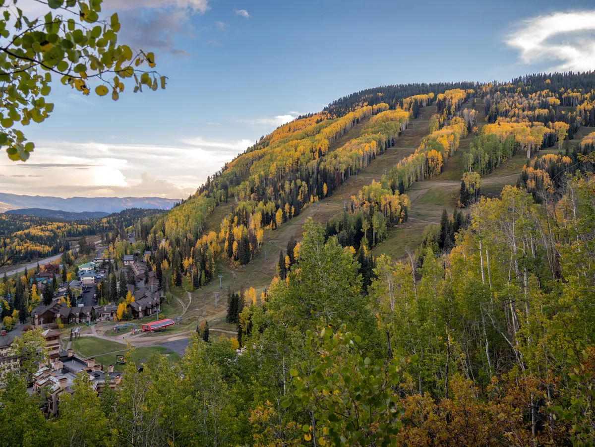 A panoramic view of colorful fall foliage cascading down mountain slopes, with a small town nestled below. The scene evokes the serene beauty of autumn in the San Juan Mountains, perfect for hiking, photography, and nature observation.